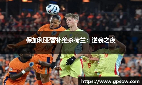zoty中欧