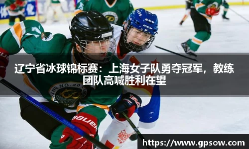 辽宁省冰球锦标赛：上海女子队勇夺冠军，教练团队高喊胜利在望