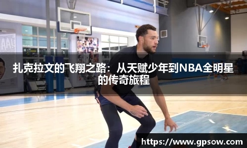 zoty中欧官方网站