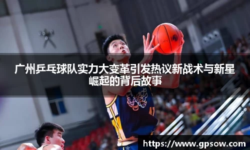 zoty中欧官方网站